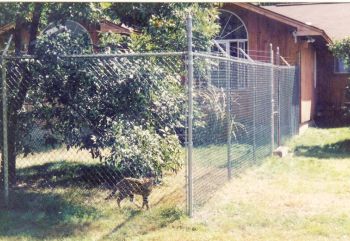 Chain Link 1.0